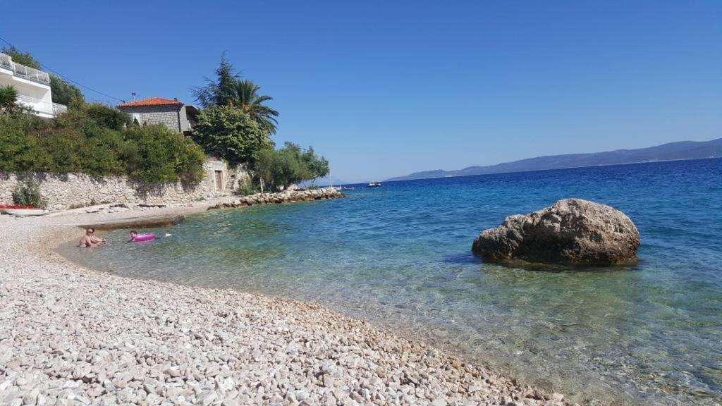 Apartament Drago Kovacic *