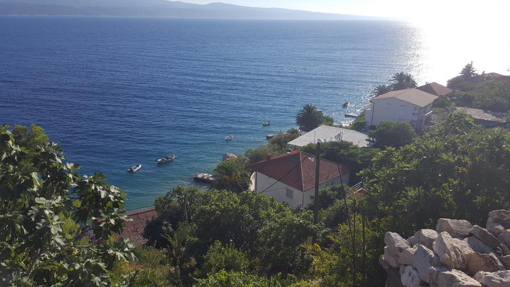 Apartament Drago Kovacic *